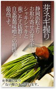 静岡浜松よりお取り寄せの芽ネギはシャキシャキと歯ごたえ抜群！自家製鶏味噌との相性も最高です。